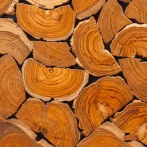 Gurjan Plywood