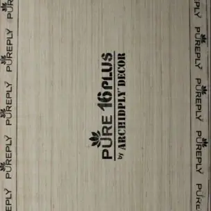 Pure 16 Plus MR